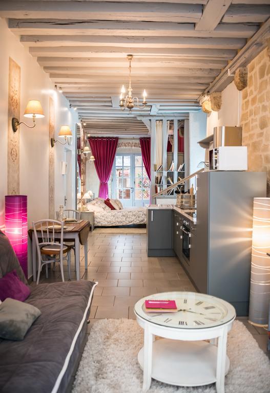 Le Nid De La Loire Lejlighed Blois Eksteriør billede